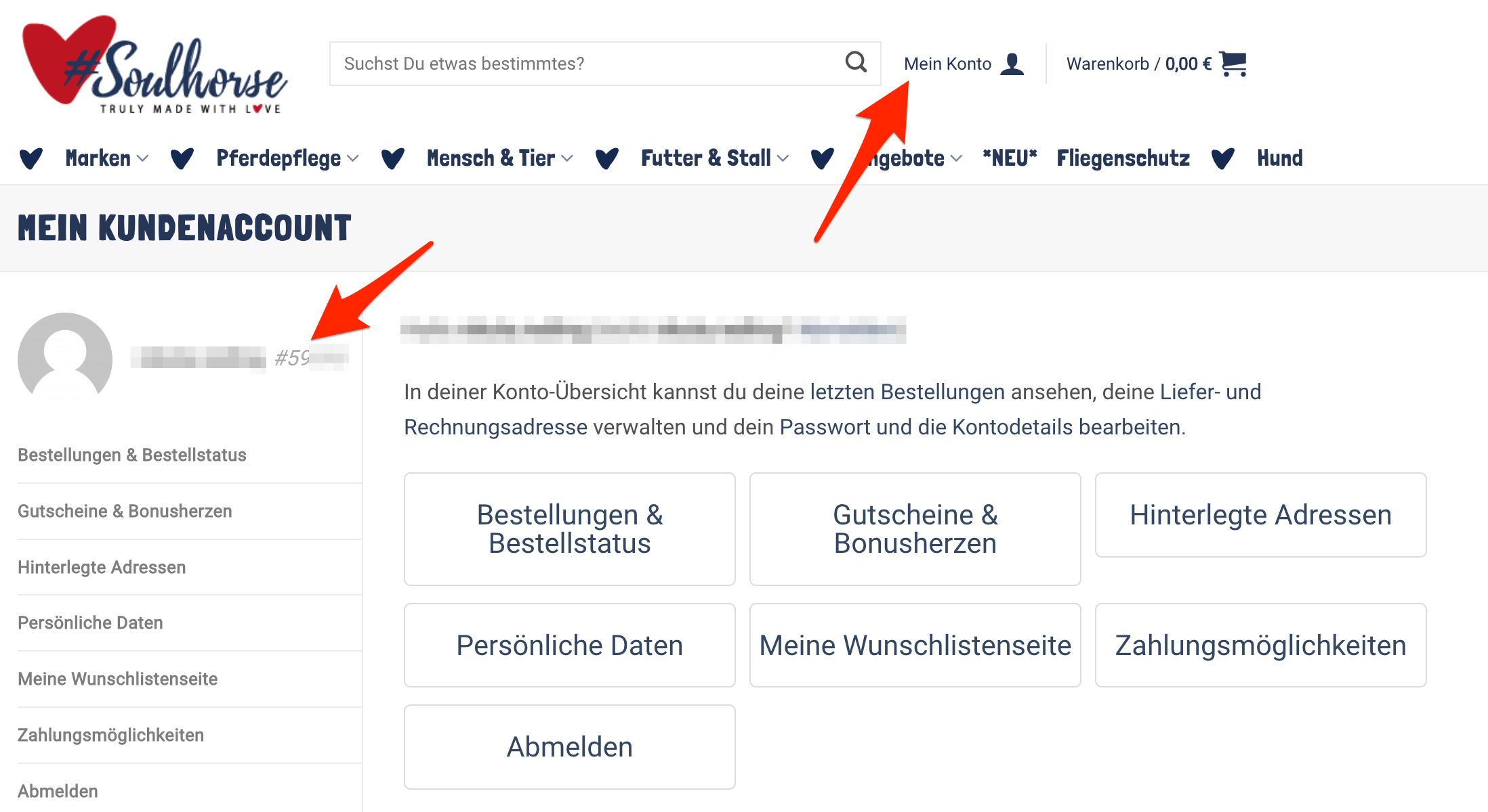 Mein_Kundenaccount___Soulhorse.png